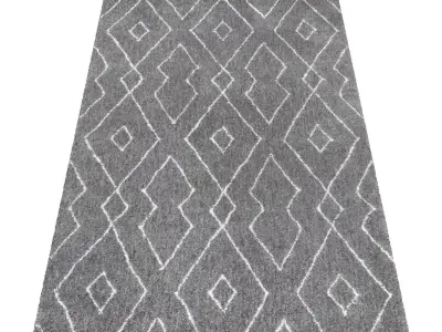 Rug Set 1484 3D model