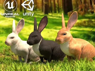 Reallistic Animated Rabbit Low-poly 3D model