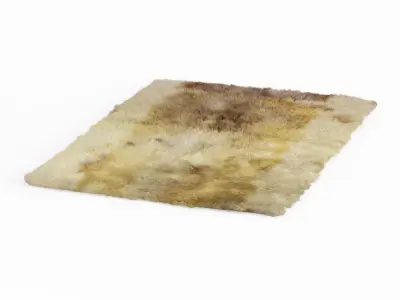 Soft Wool Rug 3D model