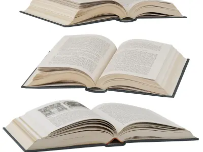 opened books collection 3D model