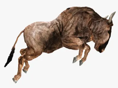 Wildebeest - with LOD and Animation Low-poly 3D model