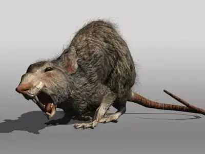 Rat animal Low-poly 3D model