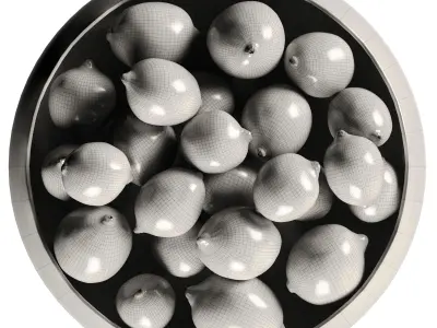 Elgen Black Centerpiece Bowl with Limes 3D model