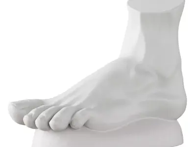 Plaster foot 3D model