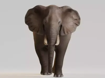 Realistic Animals Savannah - African Elephant Low-poly 3D model