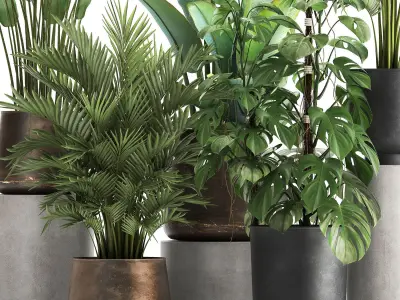 Houseplants in a flowerpot for the interior 1031 3D model