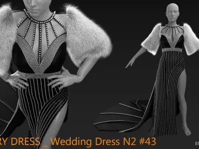 LUXURY DRESS Wedding Dress N2 43  CLO3D ZPRJ FBX OBJ MTL 3D model