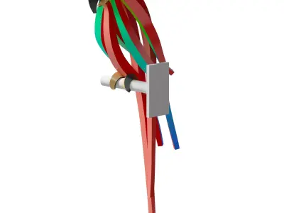 Red Parrot 3D model