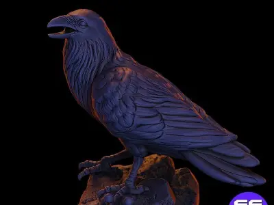 Raven with skull  3D print model