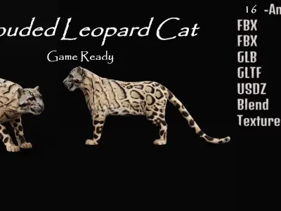 Clouded Leopard Wild Cat 3D model