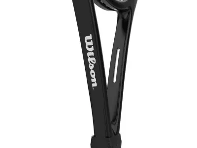 Badminton Racket and Shuttlecock 3D model Low-poly 3D model