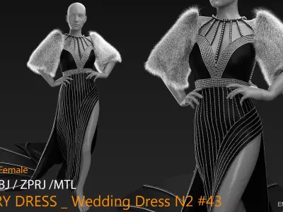 LUXURY DRESS Wedding Dress N2 43  CLO3D ZPRJ FBX OBJ MTL 3D model