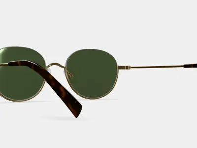 Satler Sunglasses in Polished Gold 3D model