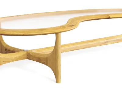 Classic Lane Glass and Walnut Kidney Shaped Coffee Table 3D model