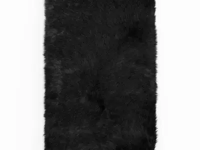 Shaggy Sheepskin Black Rug 3D model