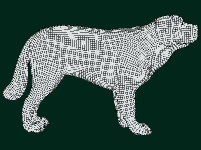 Saint Bernard Dog Breed Low-poly 3D model