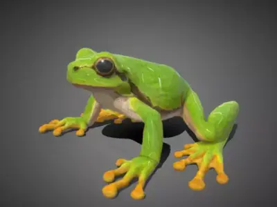 3D frog Model 3D model