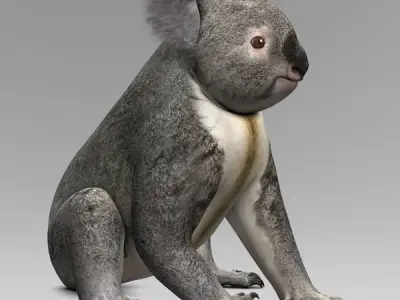 Koala 3D model