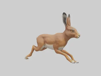Hare running model Low-poly 3D model