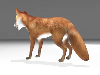This model Fox Low-poly 3D model