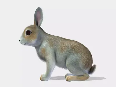 Rabbit Family Low-poly 3D model