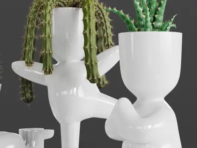 Cacti Set cactus planters 3D model