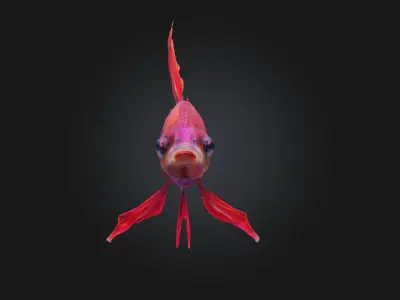Betta Elegance Detailed Betta Fish Model for Aquarium 3D model