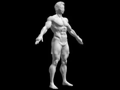 Male Asian BOX - MMA Fighter   3D model