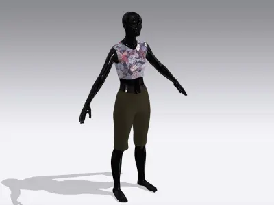 Woman Cloth Dress Low-poly 3D model order