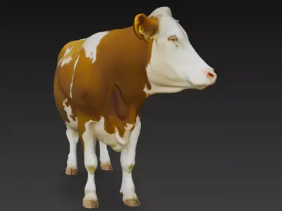 Guernsey Cow 3d Model Low-poly 3D model