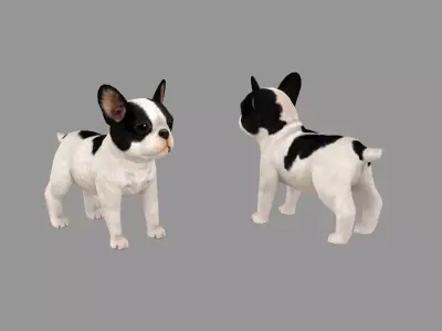 Cartoon pet puppy - French Bull Dog - baby dog  Low-poly 3D model