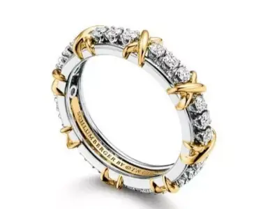 Tiffany  Co Schlumberger Sixteen Stone  Narrow ring 3D print model