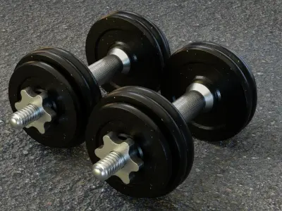 Dumbbell dumbbells 3D model