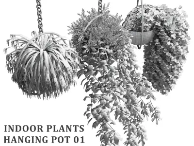 Indoor plants hanging pot 01 Low-poly 3D model