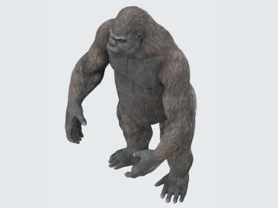 Gorilla 3D Model 3D model
