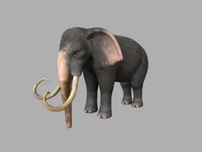 Asiatic Elephant Rig Low-poly 3D model