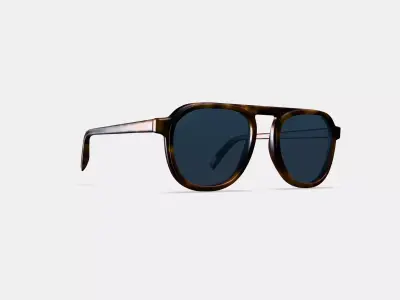 Blaise Sunglasses in Woodgrain Tortoise 3D model
