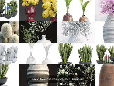 Indoor decorative plants collection