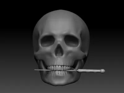 3D Printable American Football Helmet Skull Bubble Head 3D print model