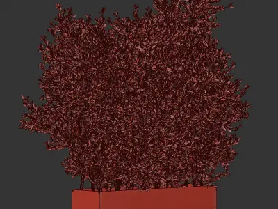 Outdoor Plants Tree in Metal Box 04 3D model
