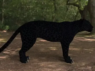 black panther Low-poly 3D model purchase
