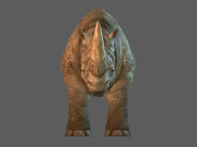 RHINO 3D RIG MODEL WITH TEXTURES 3D model
