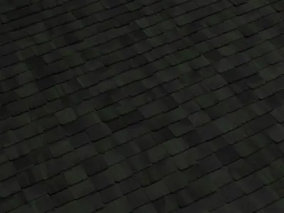 Roof Tiles - Asphalt Shingles with Moss Free 3D model