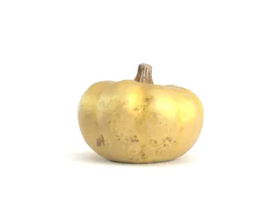 Decorative Pumpkin Gourd 1 3D model