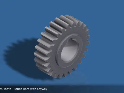 25-Tooth Spur Gear 03 3D print model