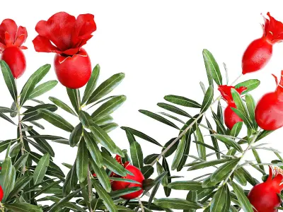 Bouquet of flowers and branches of blooming pomegranate 387 3D model