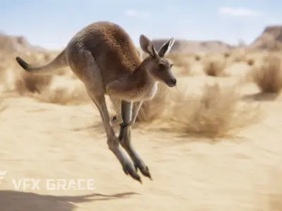 Female Kangaroo Animation VFX Grace 3D model