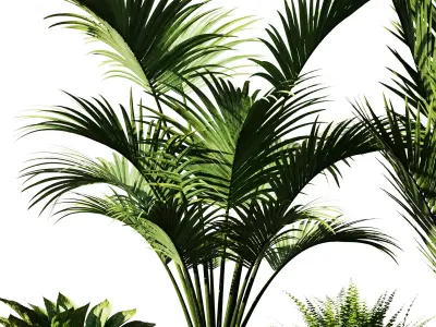 Indoor Plant Set V37 3D model