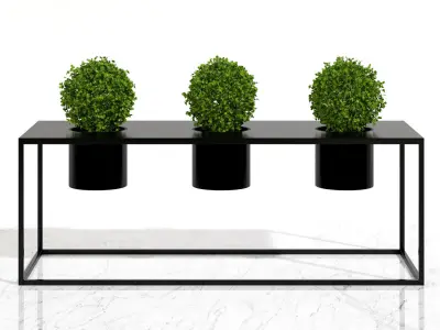 Room plants 3D model