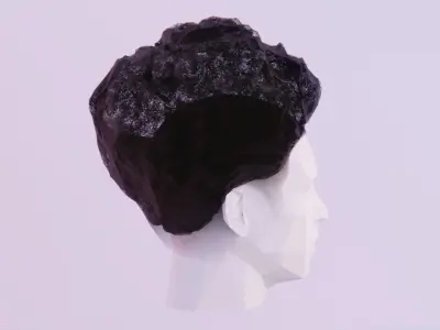 Nappy Afro Low-poly 3D model